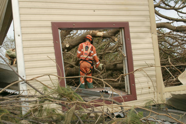 Stewartstown, PA Tree Care Services Company